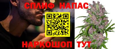ALPHA PVP Гусев