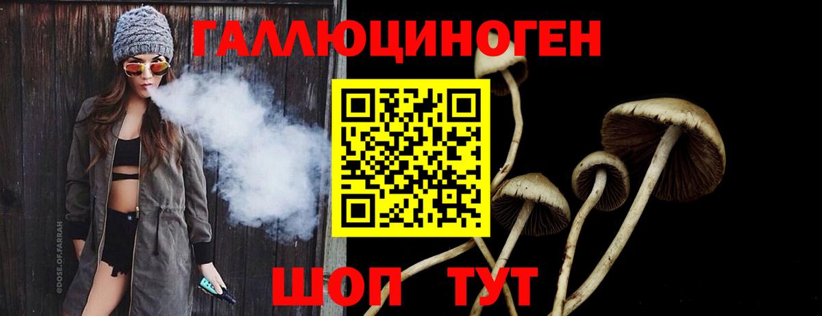 Псилоцибиновые грибы прущие грибы  Вход с VPN  Заинск 